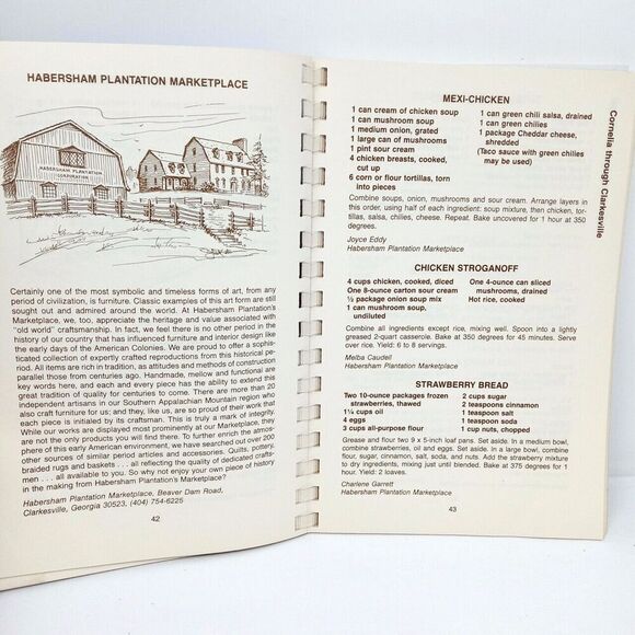 Somethin's Cookin' in the Mountains - Vintage Northeast Georgia Recipe Cookbook - Picture 10 of 11